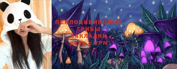 PSILOCYBIN Богородицк